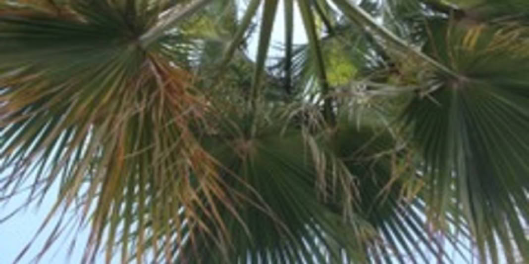 Kurz und knackig Prioritäten setzen