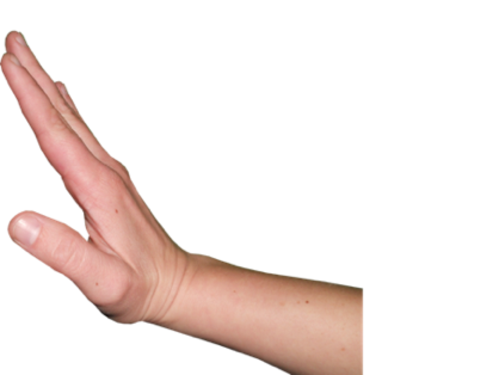 Erfolgreich Nein-sagen